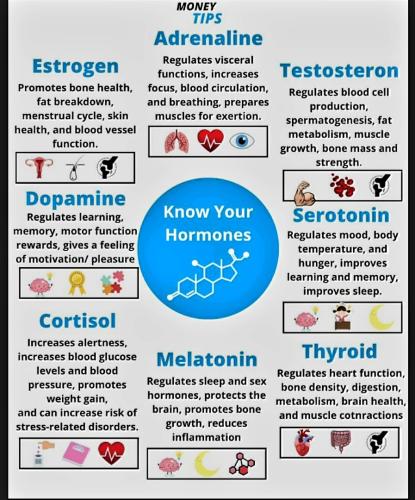 Screenshot_20230315_174422_YouTube