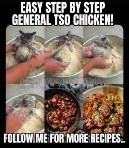 FB_IMG_1678643818054