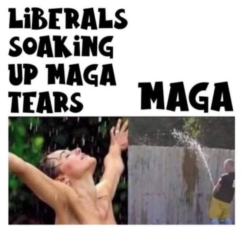 FB_IMG_1679894937614