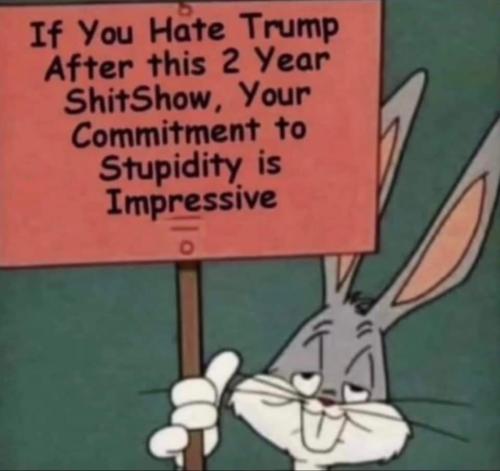 FB_IMG_1679981662023