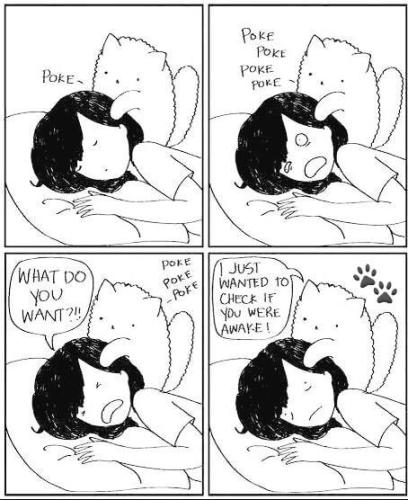 333037517_8988173111223852_17071991412270002_n