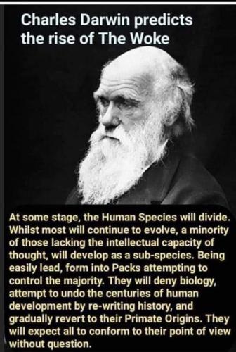 b6c58985-c999-49b2-b091-85c91cdcf3a1