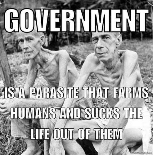 Gov 7