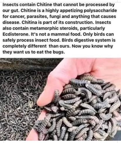 e0aa5f61-08f2-483f-b6b3-e02d82fdc6f8