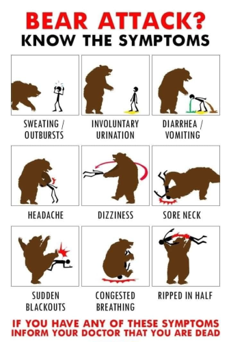 Bear Attack Know the Symptoms