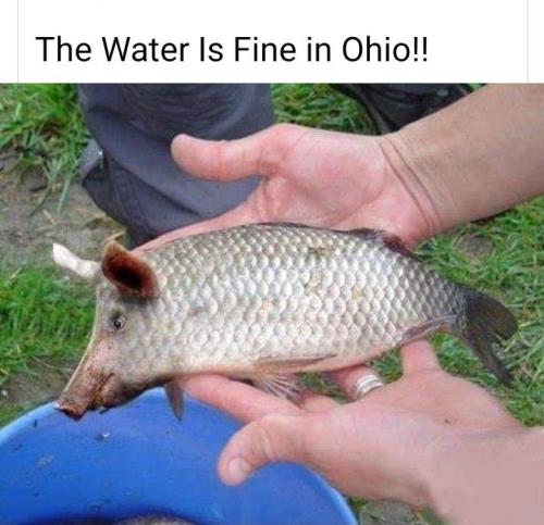 received_1136619857032238