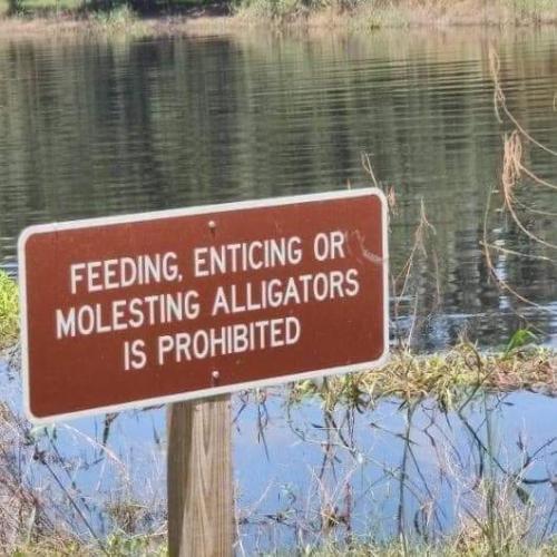 FB_IMG_1678567704707