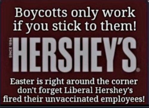 Screenshot_20230305_152905_Chrome