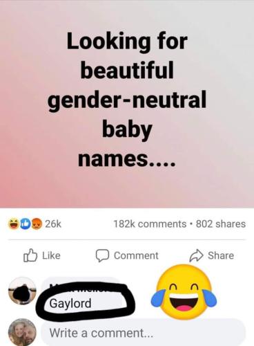 FB_IMG_1679937490253