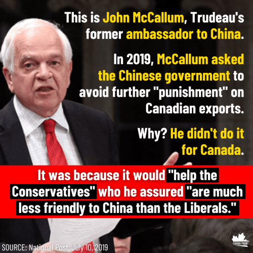 John McCallum