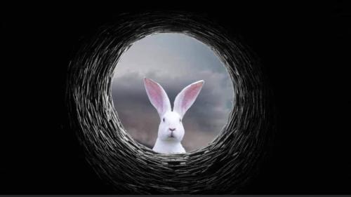 down the hole