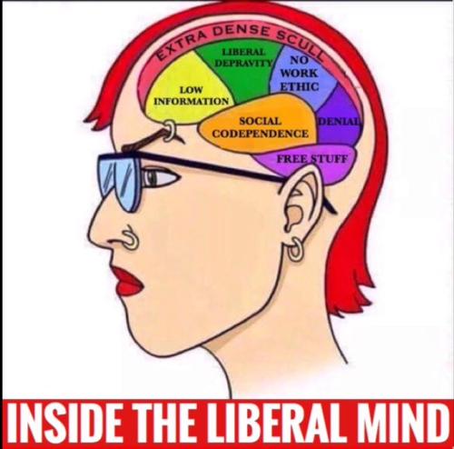 Liberal Mind 1
