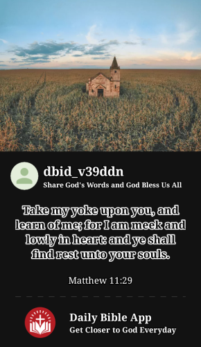 2023-03-021677806335935