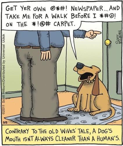 335673764_1544443829358520_8415678309298621620_n