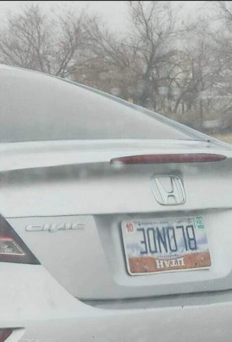 blonde license plate