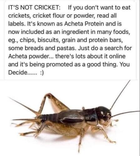 334693074_918484135853675_4204832839382214086_n