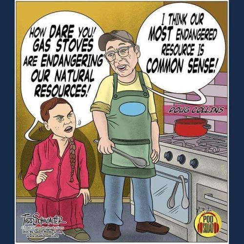 FB_IMG_1679019565562