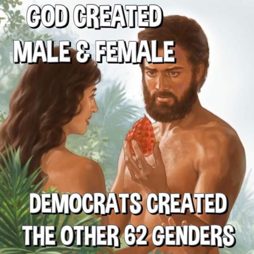 FB_IMG_1679013639388