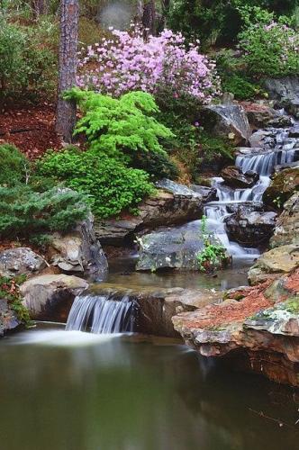Garvan Woodland Gardens
