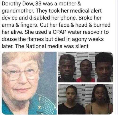 FB_IMG_1677695210864