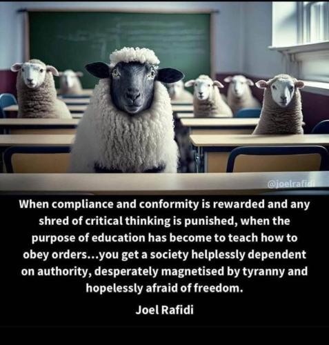 Society 3