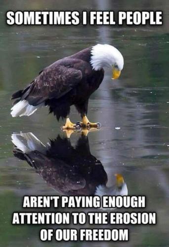 sometimes i feel that people arent paying enough attention to the errosion of you freedom