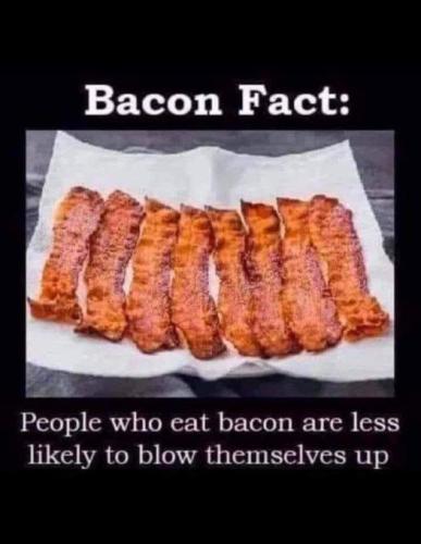 336911923_520496006962760_1541646029369751380_n