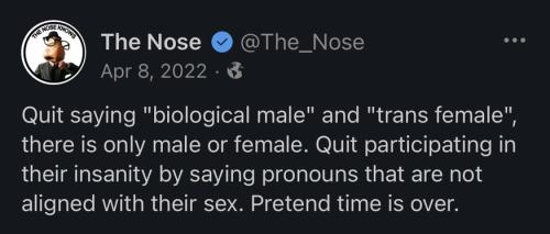 Pronouns 1