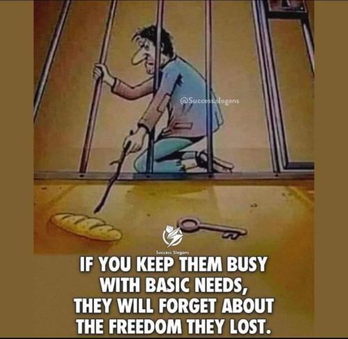 FB_IMG_1678386513613