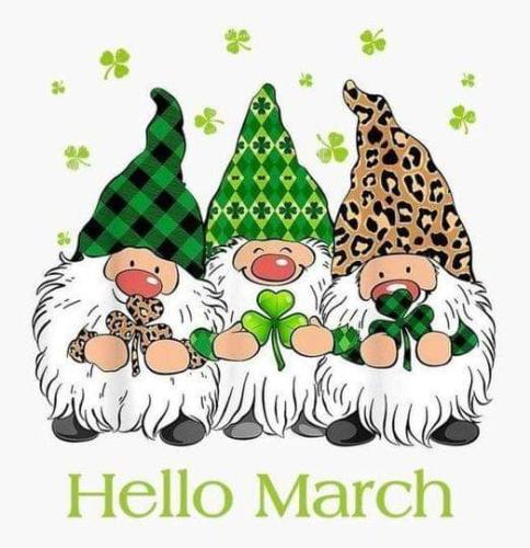 FB_IMG_1677860835863