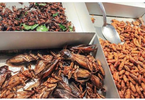 18C62C3D-6C71-4103-A53A-F545C880C0B2