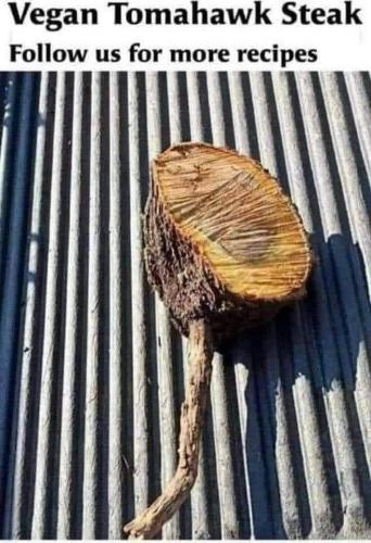 FB_IMG_1679845480240