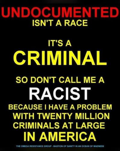 Undocumented 1