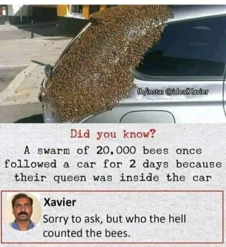 FB_IMG_1678125175760