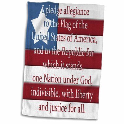 pledge to flag 162