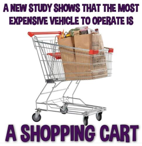 FB_IMG_1678934249660