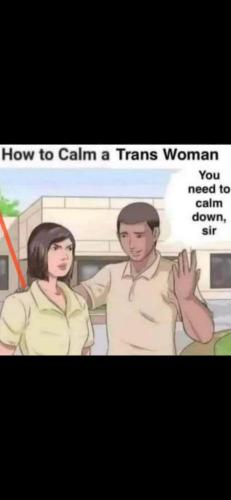 FB_IMG_1680017628499