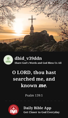 2023-03-171679104266263