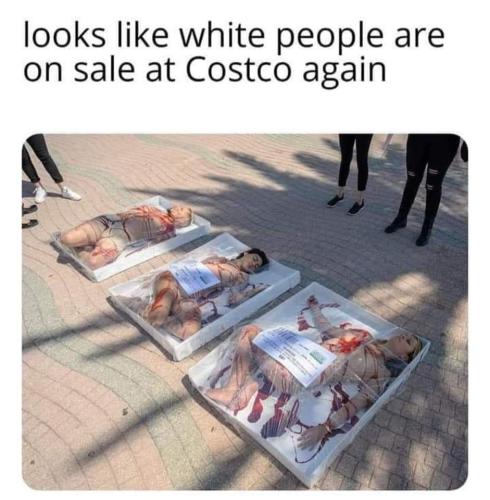 FB_IMG_1679588727147