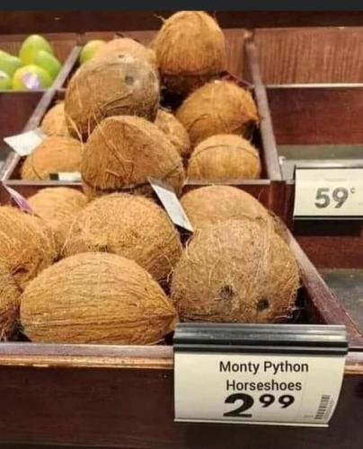 monty python horseshoes