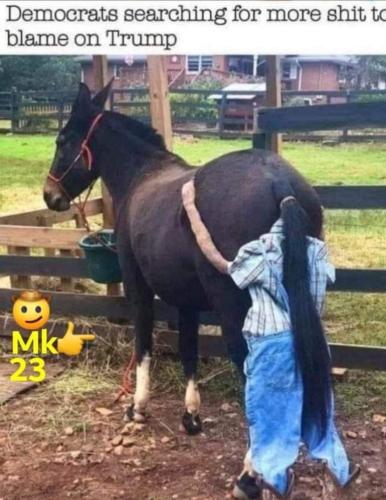 Screenshot_20230306_205911_Facebook