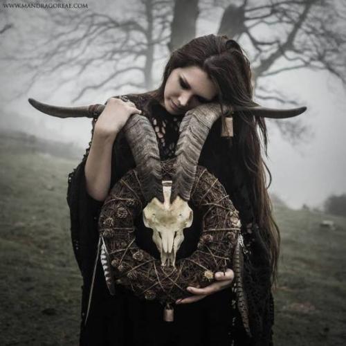 48994217_10210255687988795_4799996780756336640_n