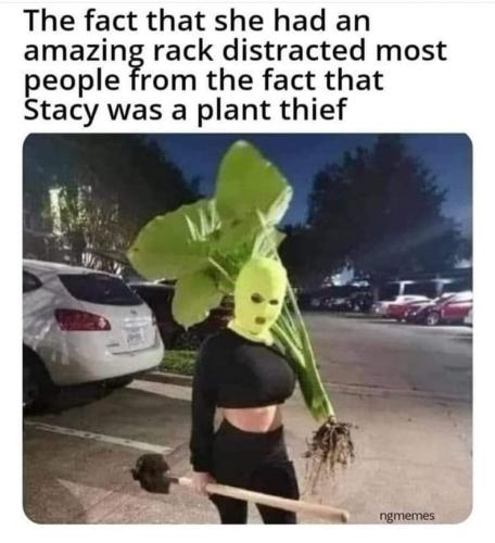 FB_IMG_1679589355586