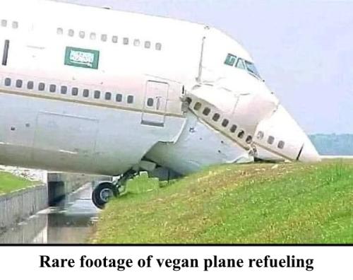 337527042_615675690401390_6583072307405628150_n