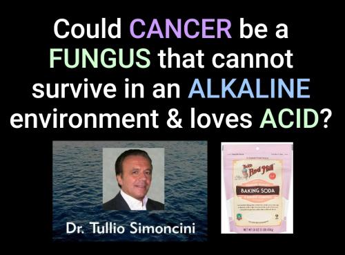 16:41:39 GMT-0400 (EDT)