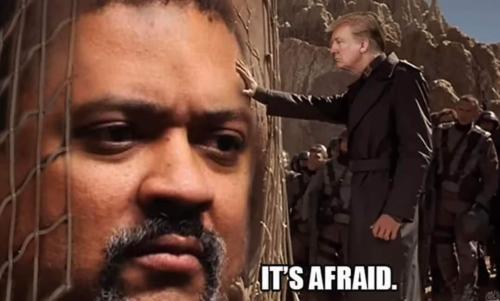 FB_IMG_1679943394724