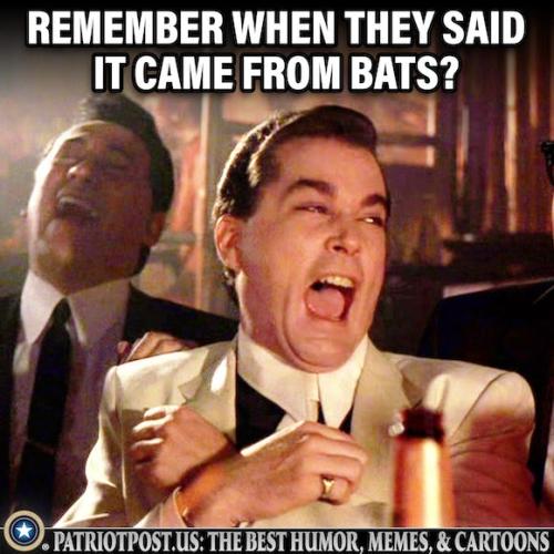 they said it came from bats