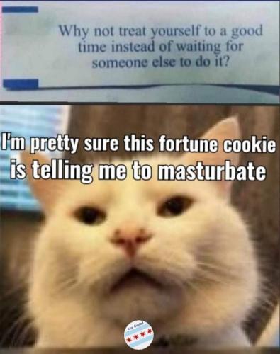 FB_IMG_1677862030594