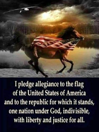 pledge to flag 180