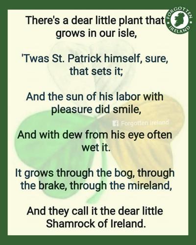 335930971_208402685175380_4256871170189138409_n